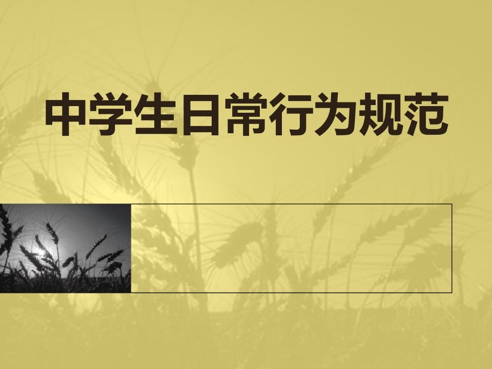 中学生守则和日常行为规范主题班会(抢答赛题目)-魅影教务资源库